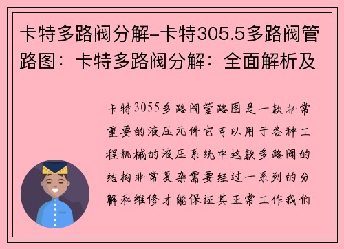 卡特多路阀分解-卡特305.5多路阀管路图：卡特多路阀分解：全面解析及维修指南