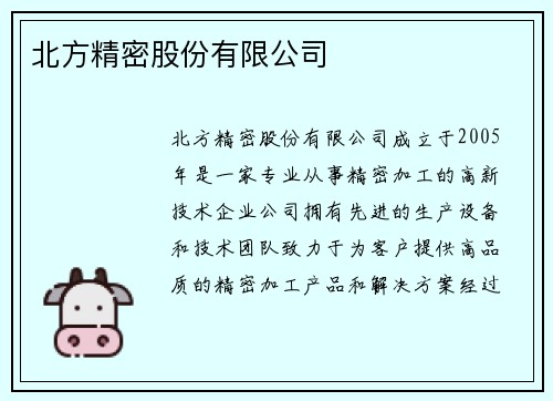 北方精密股份有限公司